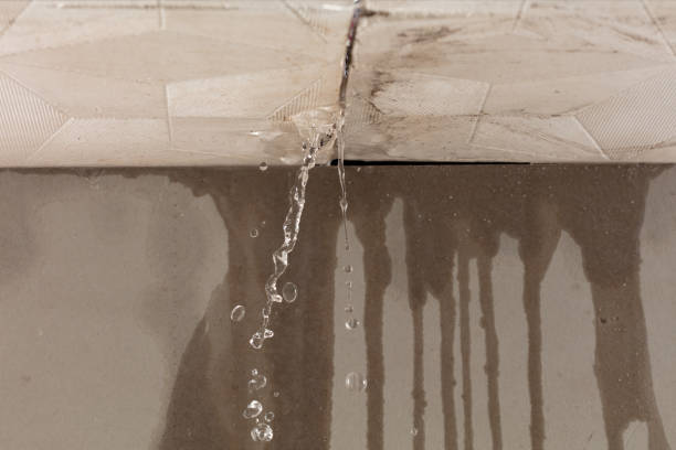 Professional Commercial Water Damage Restoration technician working in Newhall, IA